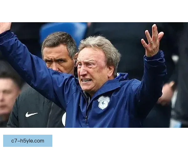 卡迪夫城恐同口号遭英足总指控